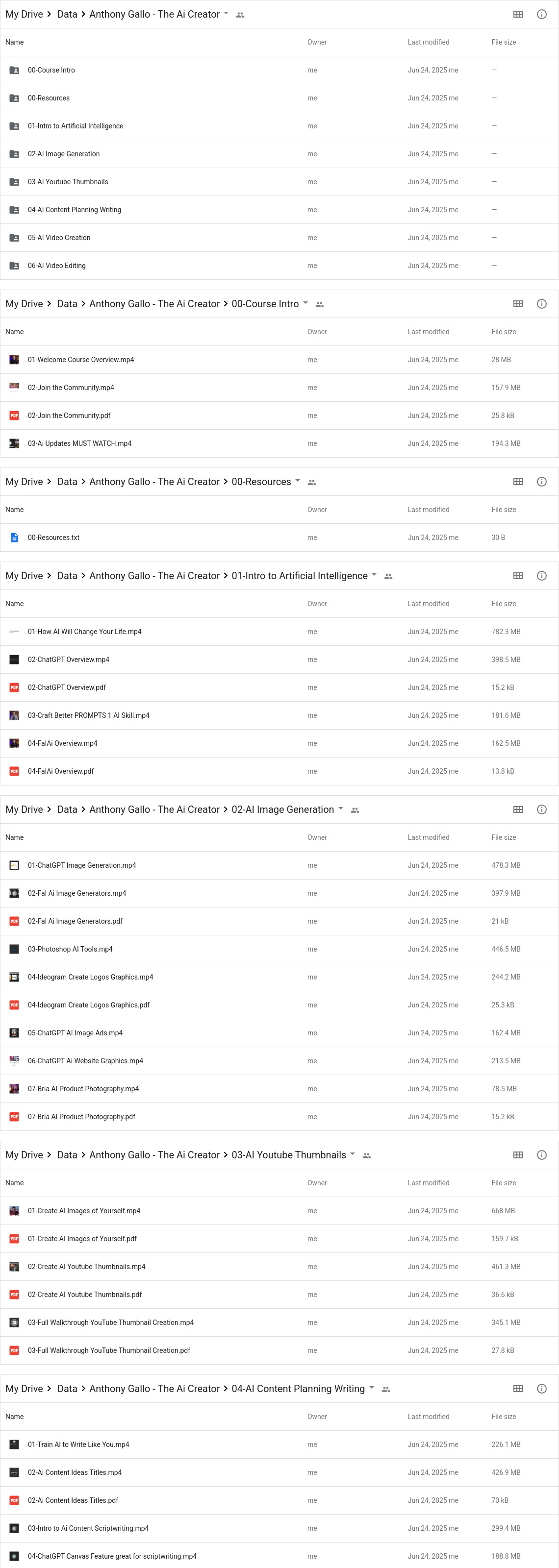 Anthony Gallo - The Ai Creator Google Proof