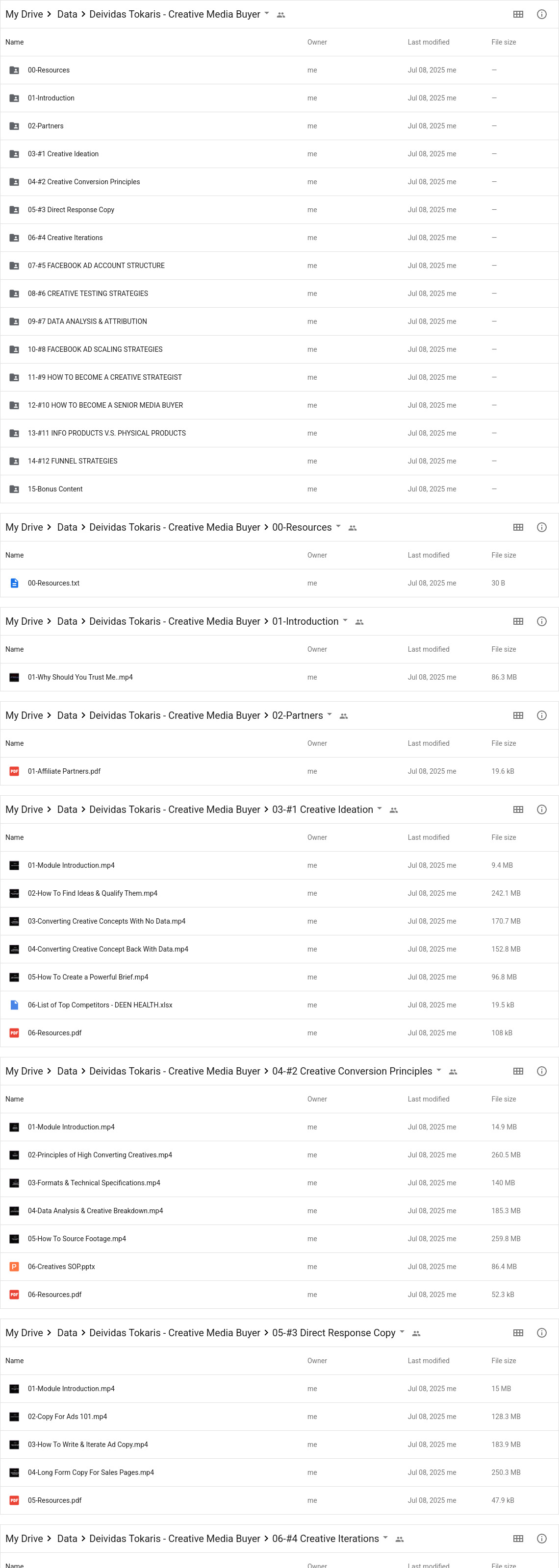 Deividas Tokaris - Creative Media Buyer Google Proof