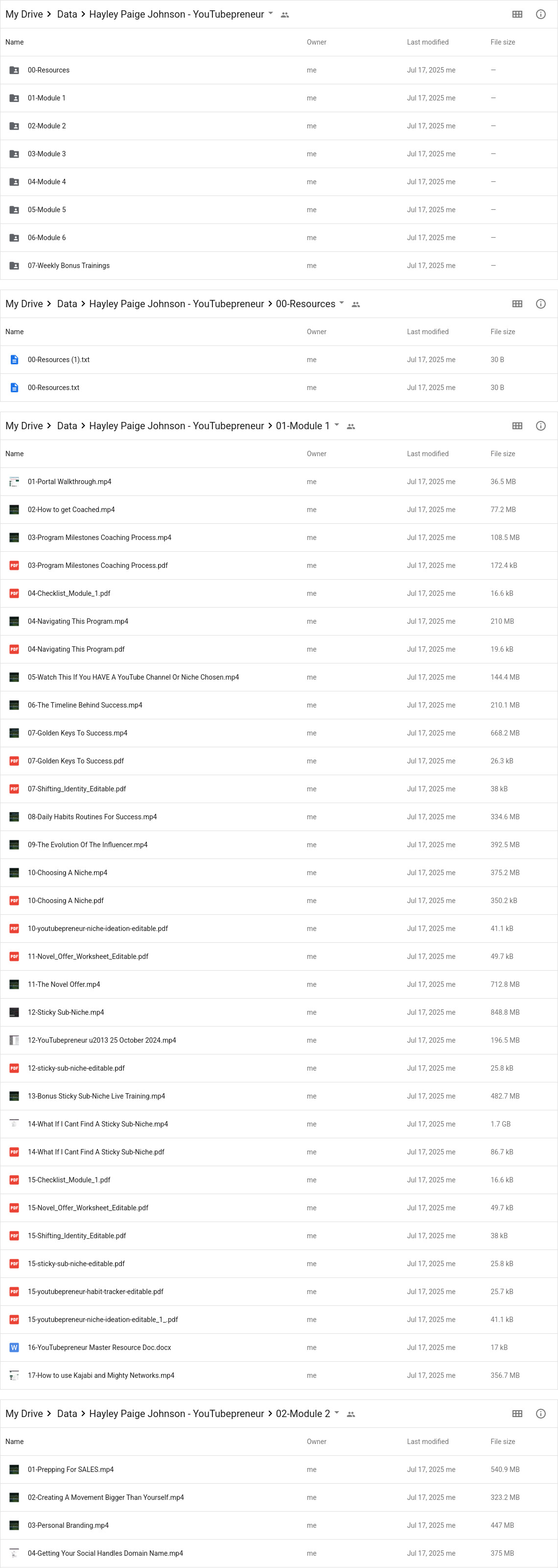 Hayley Paige Johnson - YouTubepreneur Google Proof