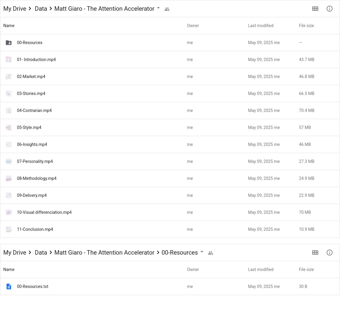 Matt Giaro - The Attention Accelerator Google Proof