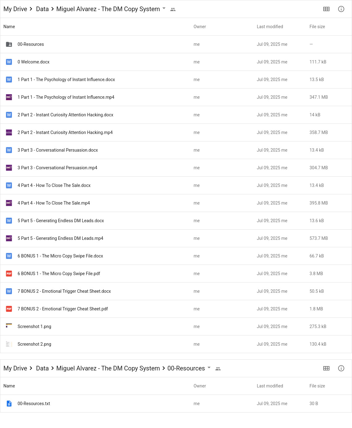 Miguel Alvarez - The DM Copy System Google Proof
