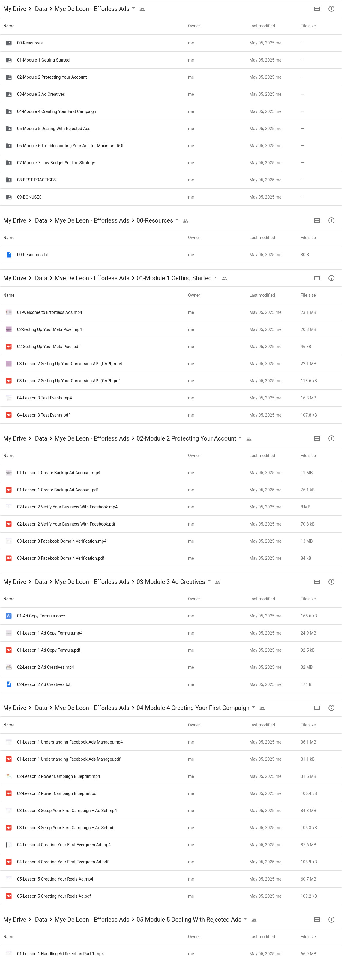 Mye De Leon - Efforless Ads Google Proof