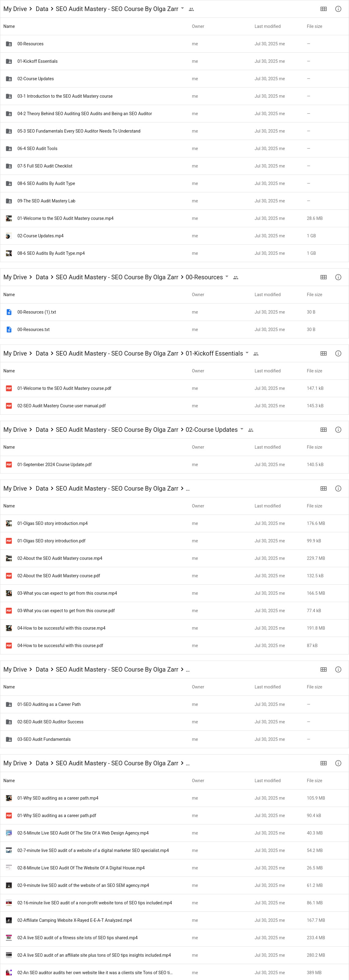 SEO Audit Mastery - SEO Course By Olga Zarr Google Proof